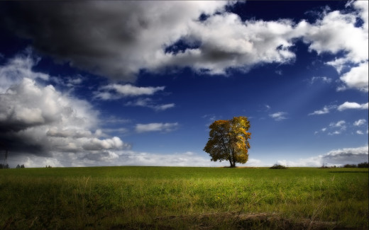 457147 (a): :2560x1600